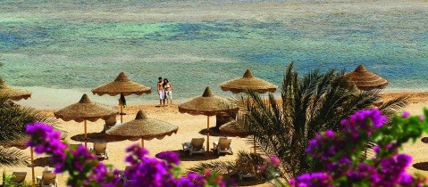Sharm-sea & beach_Resized_479x210.jpg - Red Sea